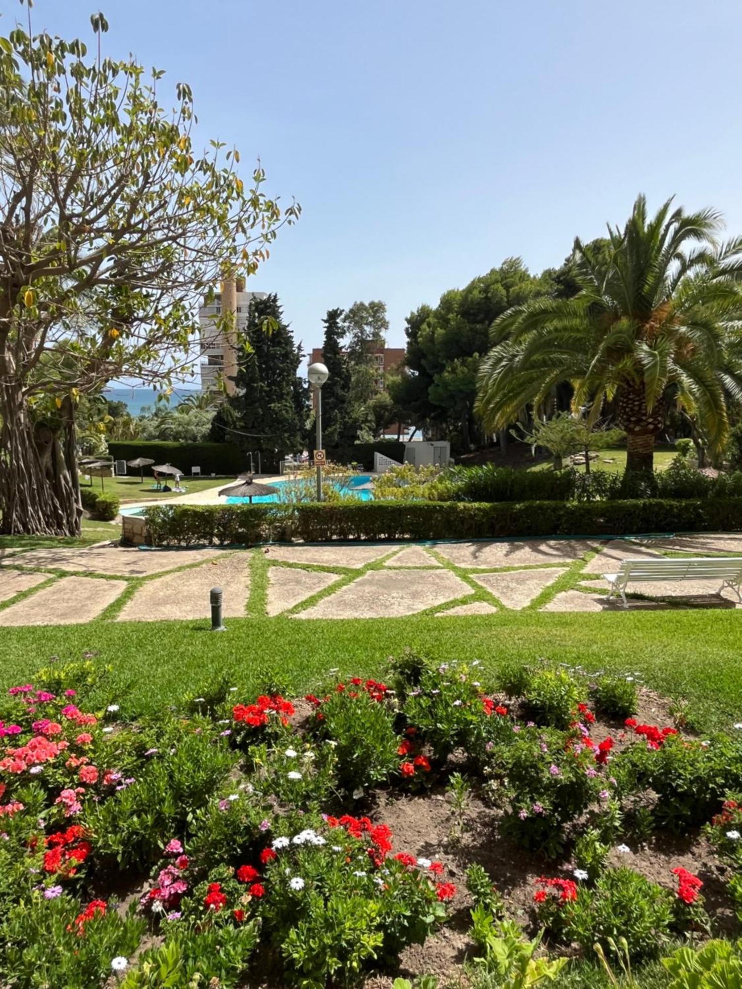 Parque La Chicharra Near Alicante And Beach Εξωτερικό φωτογραφία