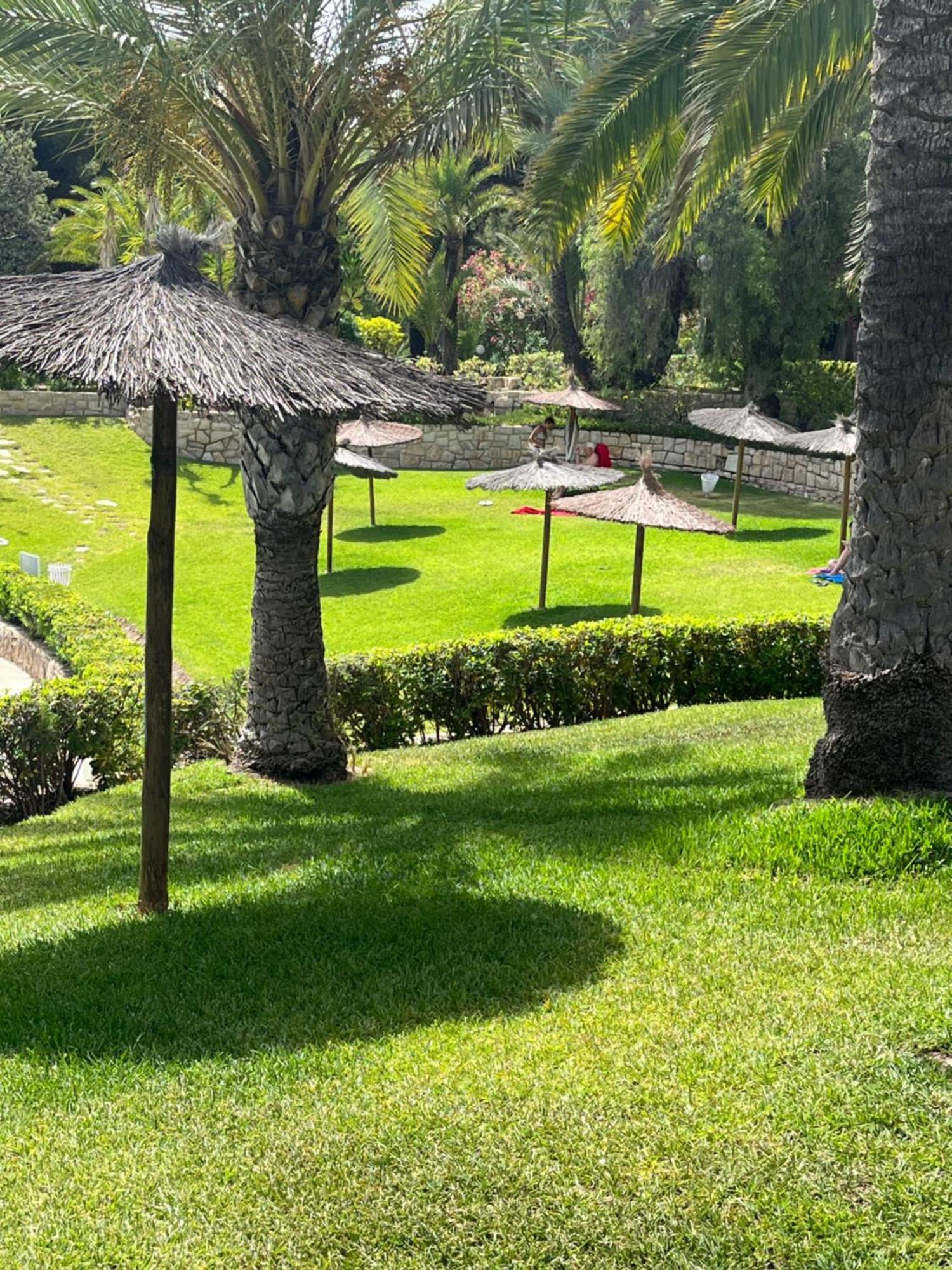 Parque La Chicharra Near Alicante And Beach Εξωτερικό φωτογραφία