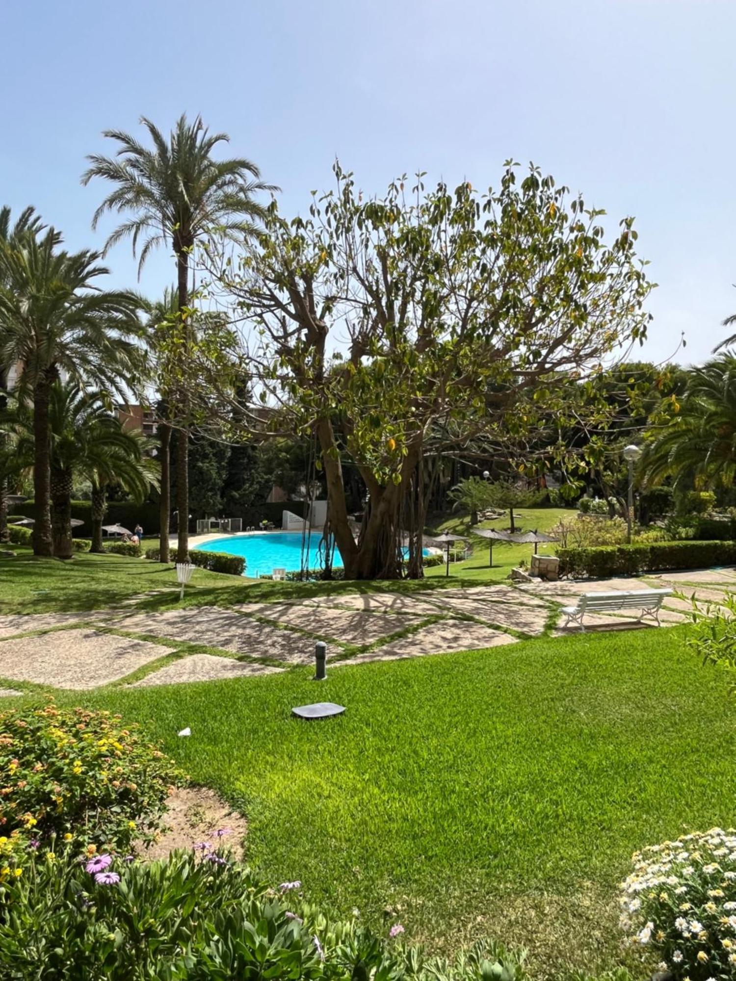 Parque La Chicharra Near Alicante And Beach Εξωτερικό φωτογραφία